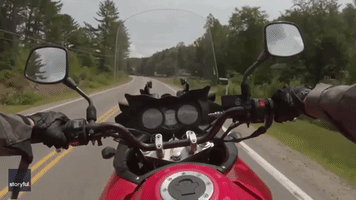 Motorcyclist's Close Shave With Deer