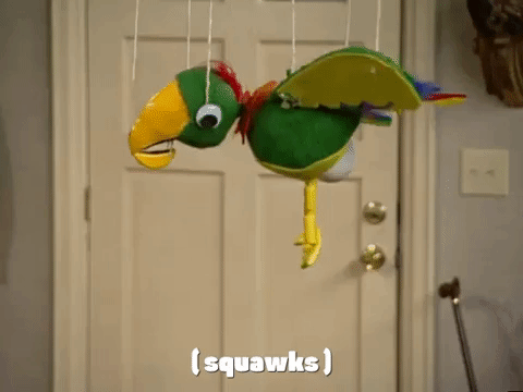 season 3 the lost episode GIF by SpongeBob SquarePants
