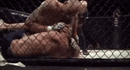 10P GIF by The Hive MMA