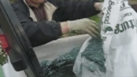 femagreenexpert giphyupload hydroseeding GIF