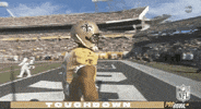 National Football League GIF by NFL