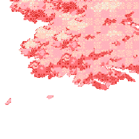 cherry blossom STICKER