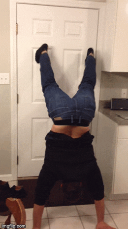 phil164 giphyupload GIF