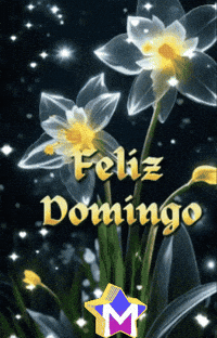 Feliz Amigos GIF by Murcianys LLC