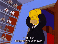 homer simpson GIF