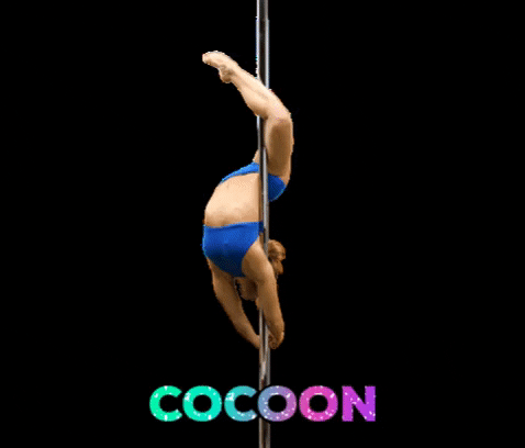 Cocoon GIF by Pole Dance Online