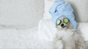 GIF by Bionoble