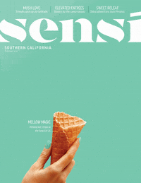 sensimag  GIF