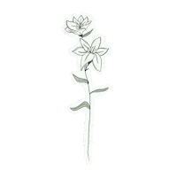 May Flower Sticker