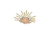 Dci Dharma Sticker by Sahara Rose