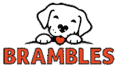 Bramblespet ice cream dog treats dog treat frozen treat Sticker
