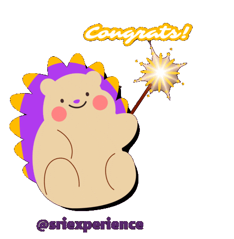 Congrats Rise Together Sticker by SRI_Experience