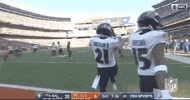 Regular Season Football GIF by NFL