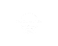 bbbsmiami Sticker by Big Brothers Big Sisters of Miami