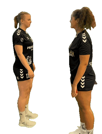 Lsv Sticker by Luener SV Handball