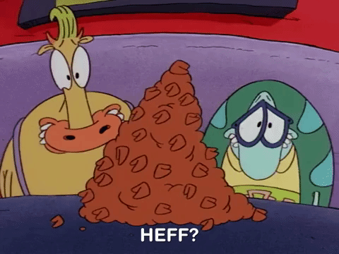 rockos modern life nicksplat GIF
