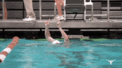 Diving Swimming GIF by Texas Longhorns