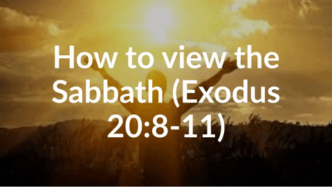 DonTaylor10000 giphyupload GIF