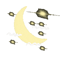 Night Moon Sticker