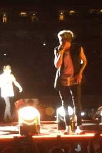 one direction concert GIF