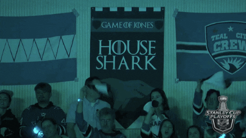 game of thrones sport GIF by NHL