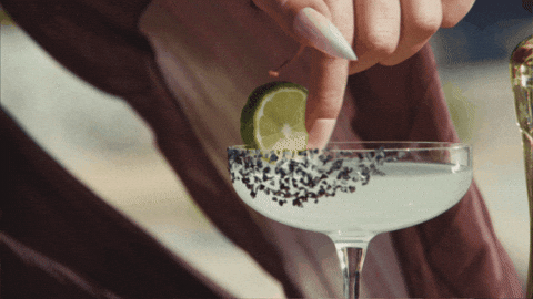 Cheers GIF by Lobos 1707 Tequila