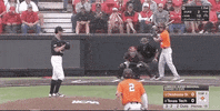 college baseball sport GIF by NCAA Championships