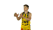 Ewe Baskets Basketball Sticker by EWE Baskets Oldenburg