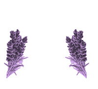 Cheers Drinks Sticker by Lav'a Belle