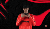 Lets Go Win GIF by Tribe Gaming