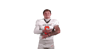 Cnfb Sticker by Carson-Newman Athletics