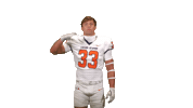 Cnfb Sticker by Carson-Newman Athletics