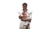 Cnfb Sticker by Carson-Newman Athletics