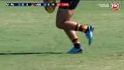 afl GIF by Adelaide Crows