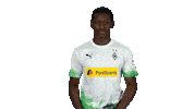 Borussia Moenchengladbach Thank You Sticker by Bundesliga