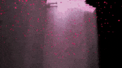 bad decisions mv GIF by Two Door Cinema Club