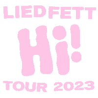 liedfett liedfett hitour2023 reinbuegeln Sticker