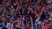 st. louis fan GIF by U.S. Soccer Federation