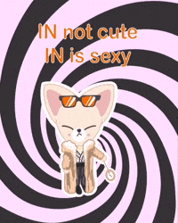 kiwycat kpop skz stay straykids GIF