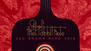 country music zamily GIF by Zac Brown Band