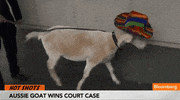goat GIF