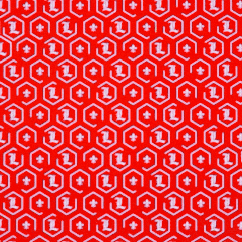 Mens Soccer Go Cards GIF by Louisville Cardinals