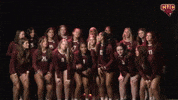 Wvb GIF by CUCougars