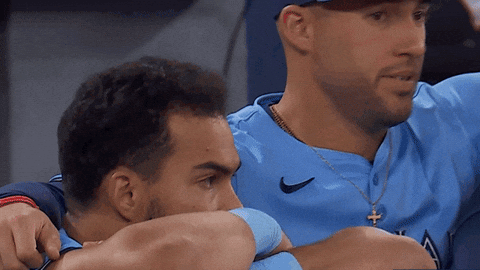 Blue Jays Hug GIF by Toronto Blue Jays