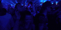 tomorrowland GIF by Robin Schulz