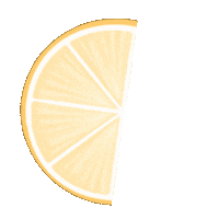 Orange Fruit Sticker