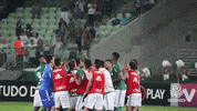 allianz parque despedida GIF by SE Palmeiras