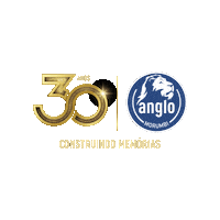 School 30 Anos Sticker by Colégio Anglo Morumbi