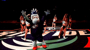 NewYorkRiptide new york lacrosse nll riptide GIF