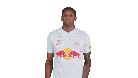 Football Sport Sticker by FC Red Bull Salzburg
